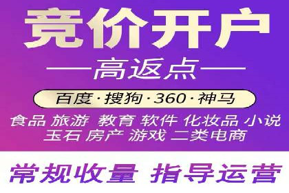 深入解析SEM竞价托管的成功案例